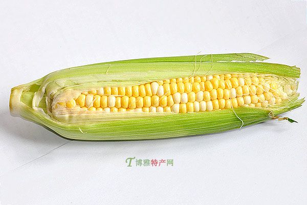 忻州糯玉米
