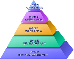 德扑之星电脑版集团发展战略